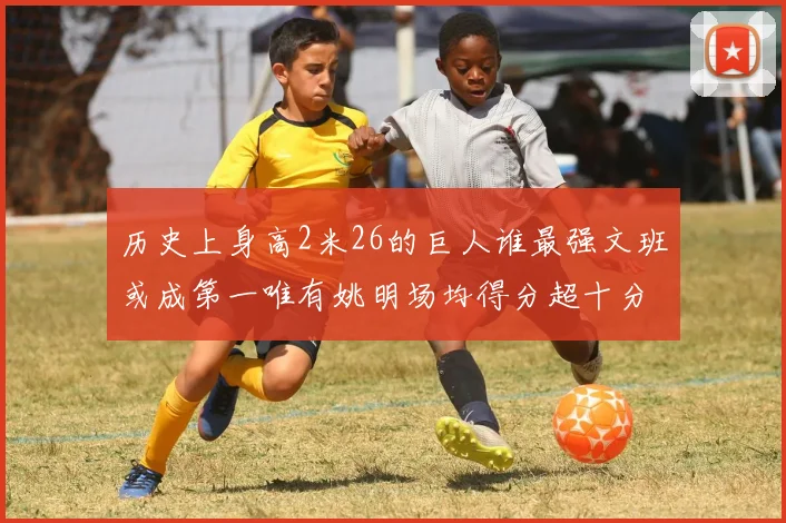 历史上身高2米26的巨人谁最强文班或成第一唯有姚明场均得分超十分