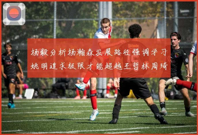 杨毅分析杨瀚森发展路径强调学习姚明追求极限才能超越王哲林周琦状态