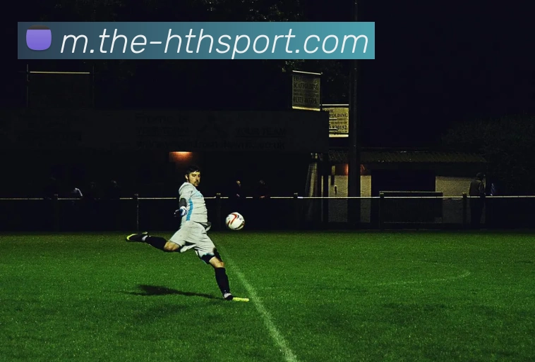 华体会体育平台生态图